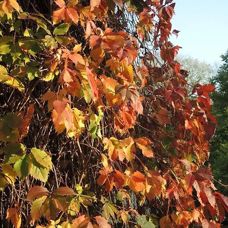 Usedom Bike & Hotell